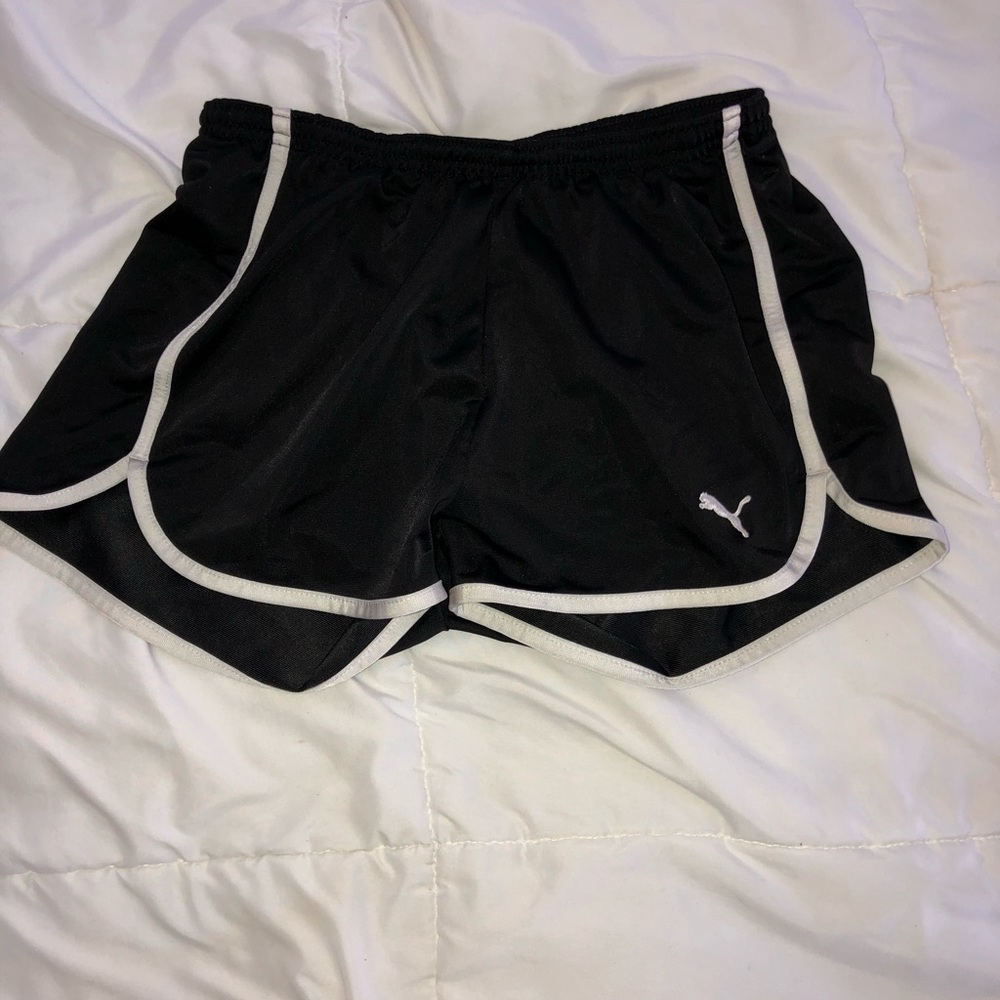 puma shorts